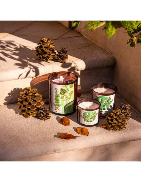 Rosemary & Mint scented candle | Elementi | Pernici